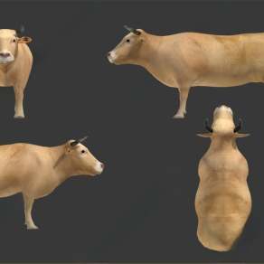 现代老黄牛3D模型下载